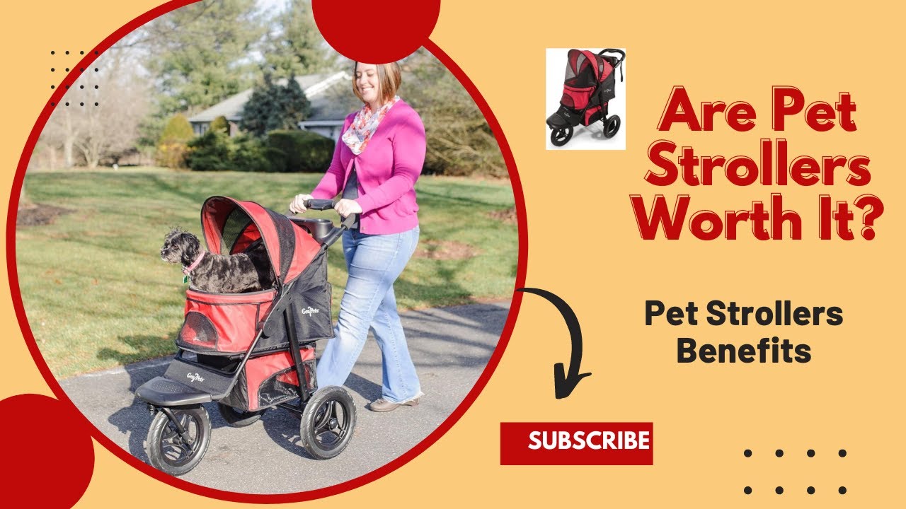 Are pet strollers worth buying | Pet Strollers Benefits!