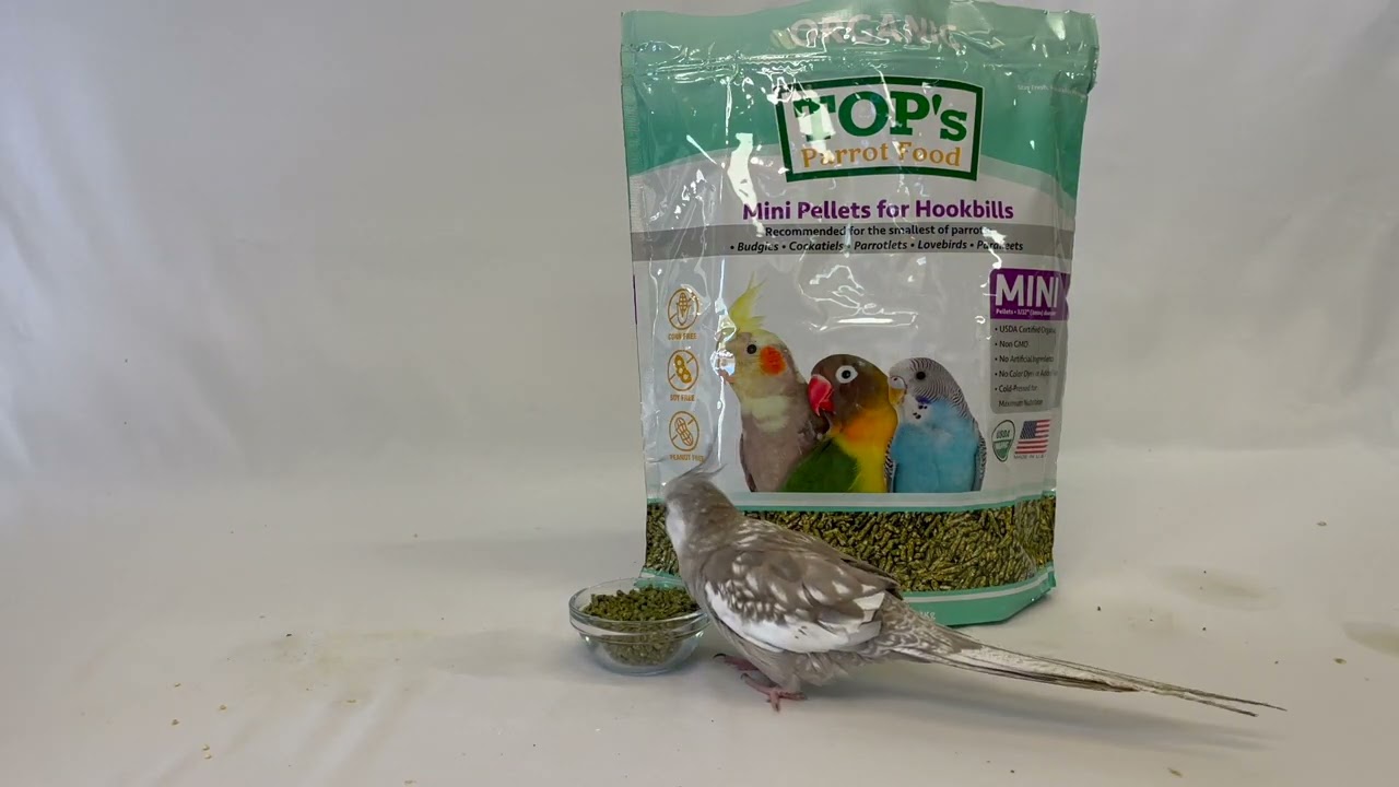 Cockatiel Loves TOP's Healthy Parrot Food Pellets