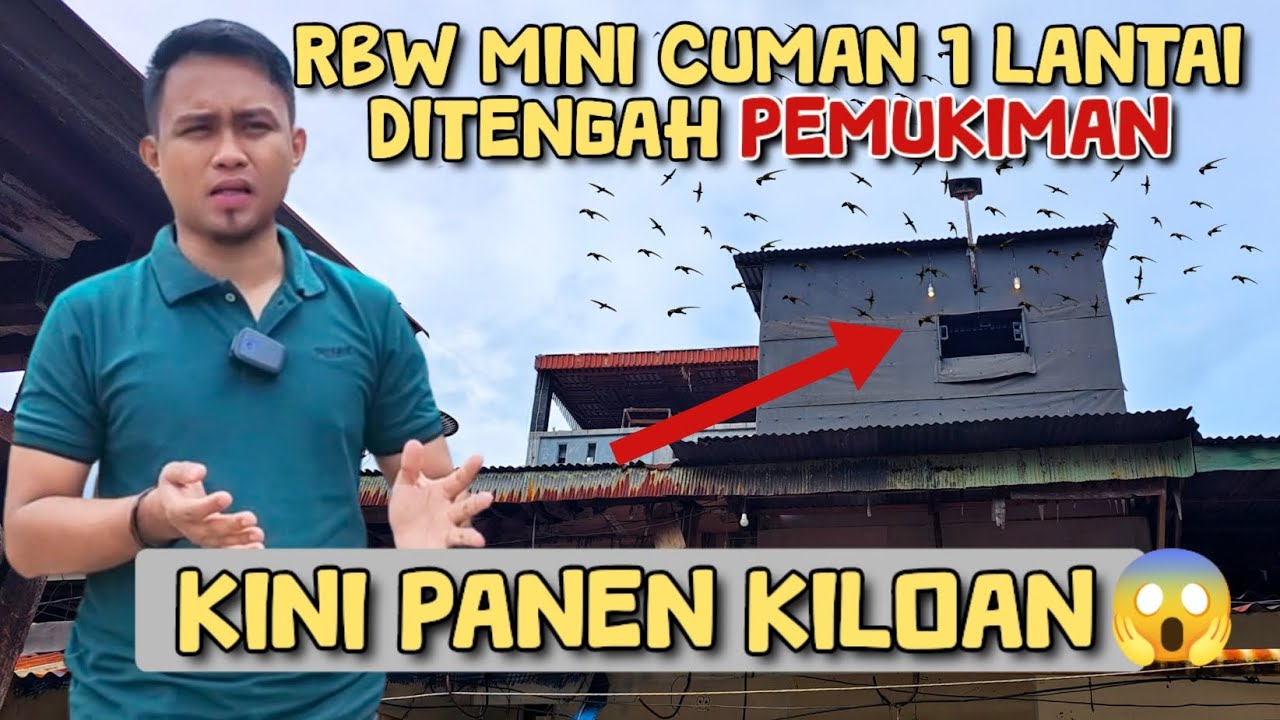 LUAR BIASAA‼️Seperti ini hasilnya, gedung walet mini 1 lantai ditengah pemukiman😱