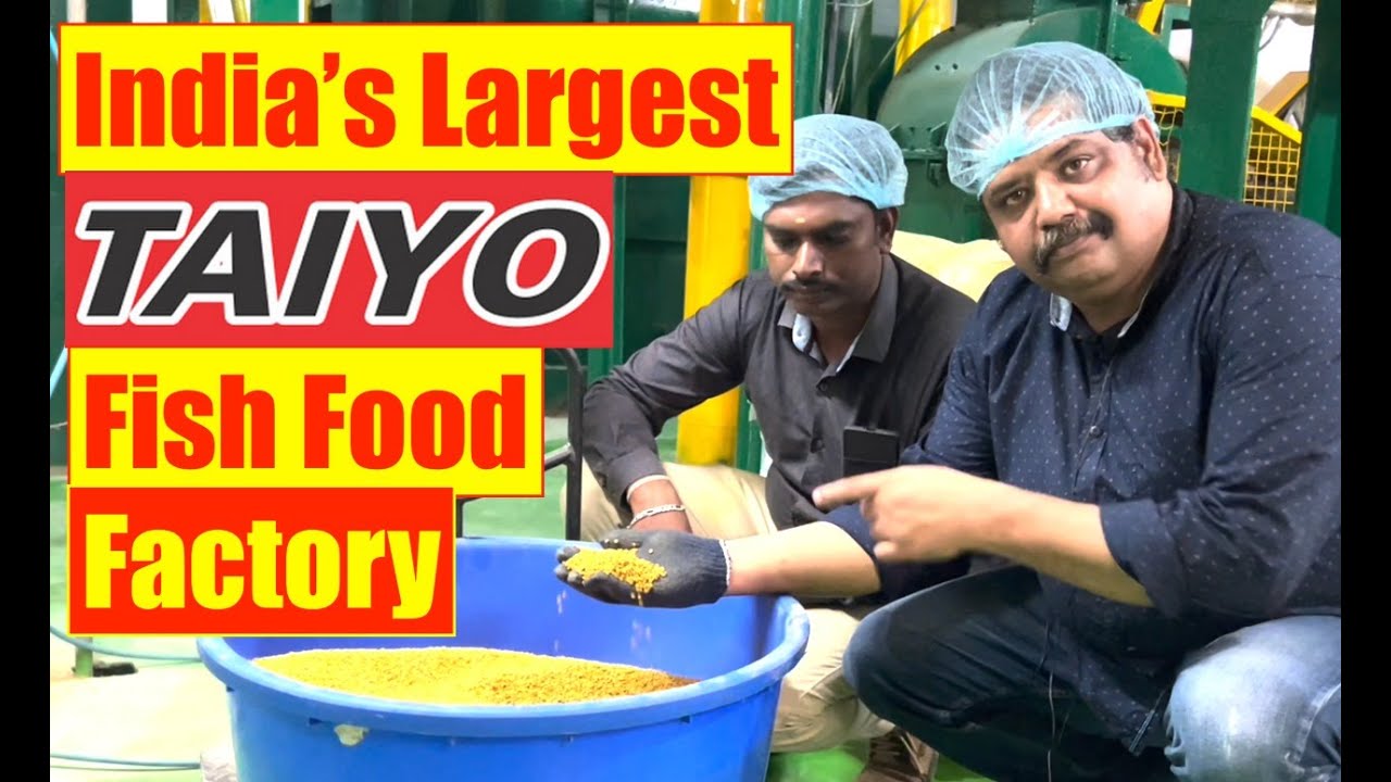 Taiyo Fish Food Factory | Aquarium Fish Food  | Mayur Dev Aquascaper | Make in India | Hindi HD1080p