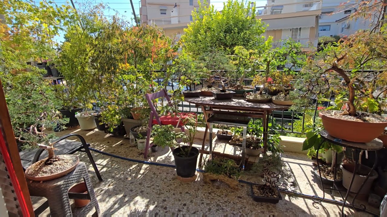 Little space but with lot of happiness on sunny days in Fall.