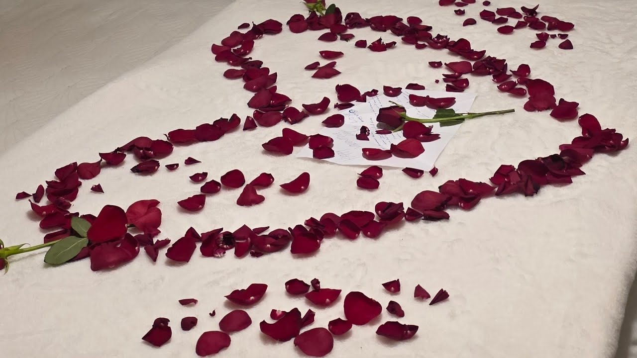  Love grows best in a sweet home...🏡❤️🤗