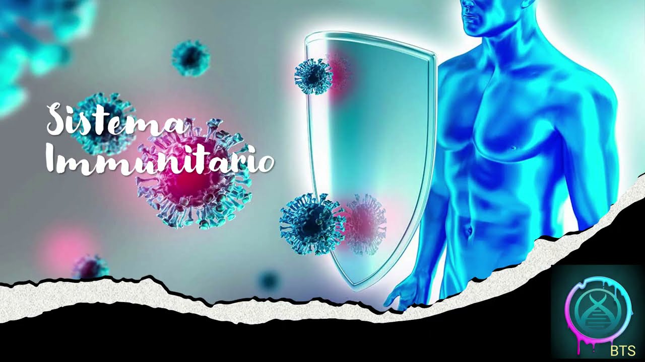 SISTEMA IMMUNITARIO:  GENERALITA' E COMPITI (1° PARTE)