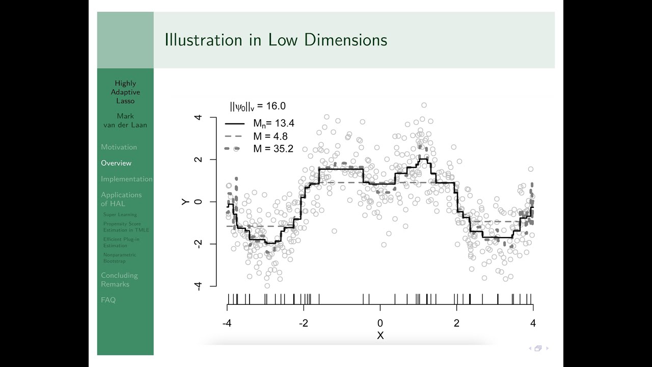 Highly Adaptive Lasso (HAL) in Causal Inference