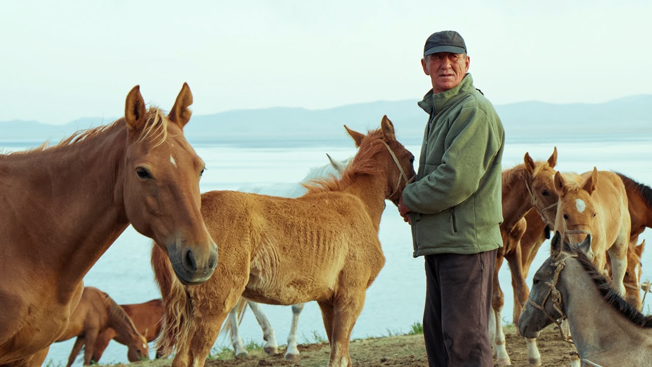 Horse Milk in the Mountains &ndash; A Day in a Nomad Village at Son-Kul Lake