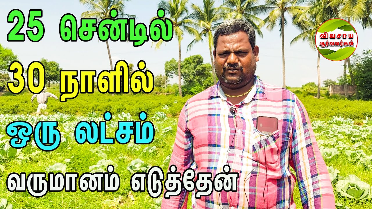 வெளிநாட்டு வேலையை விட்டுவிட்டு காய்கறி சாகுபடியில் அதிகம் சம்பாதித்துக் கொண்டிருக்கிறேன் #vegitable