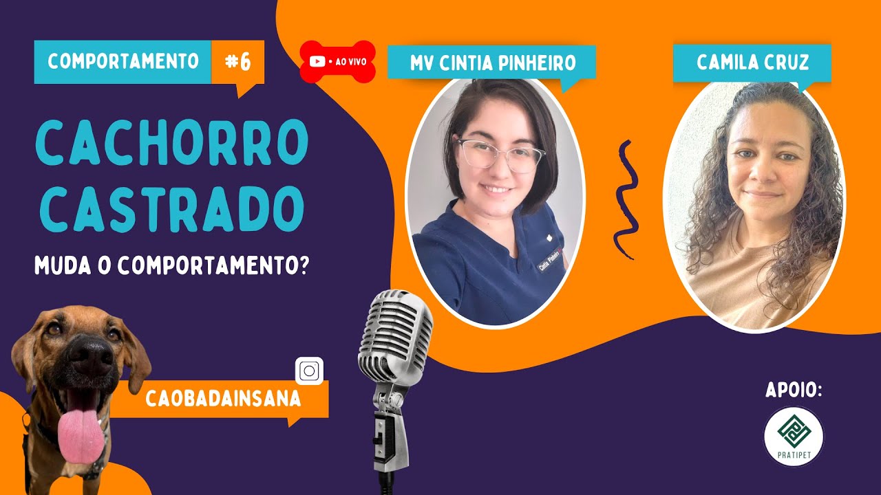 Cachorro castrado: Muda o comportamento?