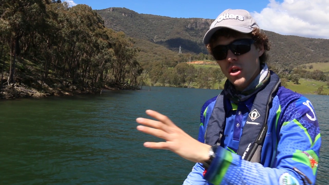 Tip for Finding Feeding Golden Perch