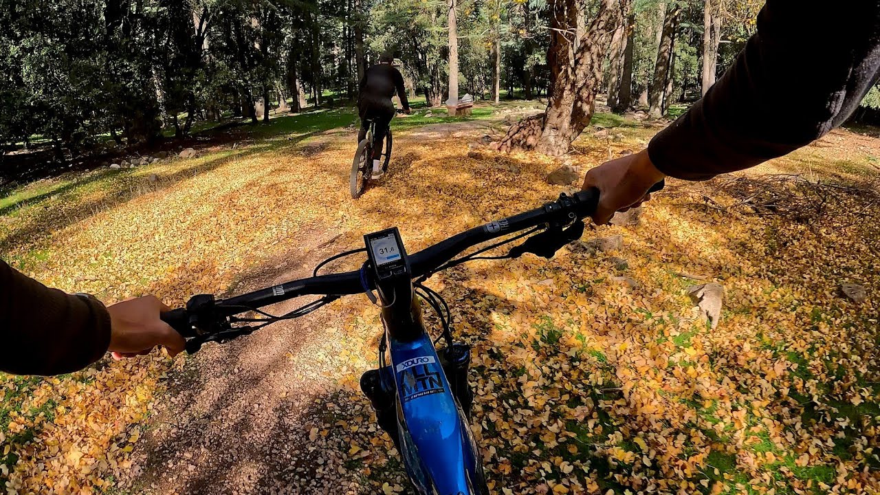 ATLAS PARK🐒CEDRE🌲 AZROU TOURE E-BIKE PART 1🦧🚴&zwj;♂️ المنتزه الوطني ازرو