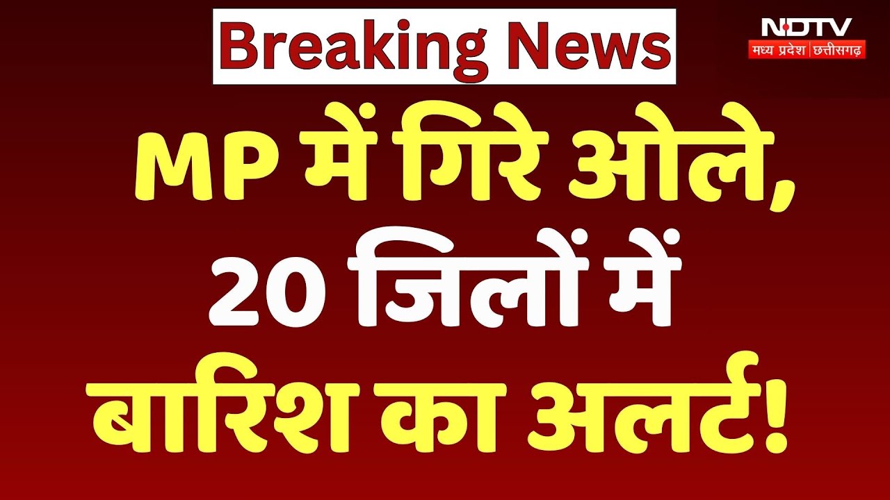 MP Weather News: झमाझम बारिश के साथ गिरे ओले, इन जिलों में बड़ा अर्लट ! Cold Wave | Top News  | Rain