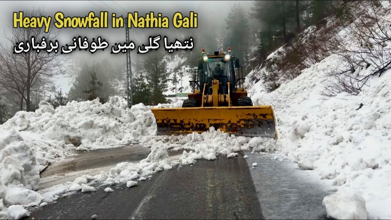 Heavy SNOWFALL Hits Nathia Gali Harder Than Murree