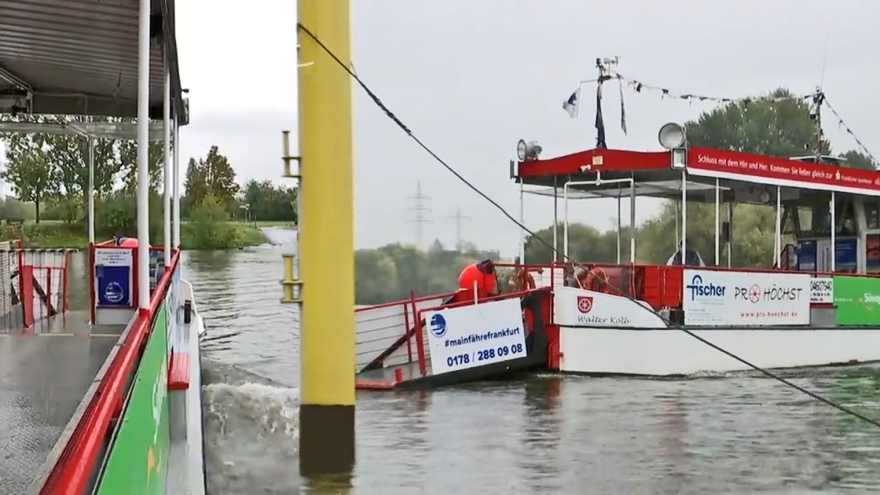 Frankfurt/Höchst: Mainfähre steht vor dem Aus | maintower