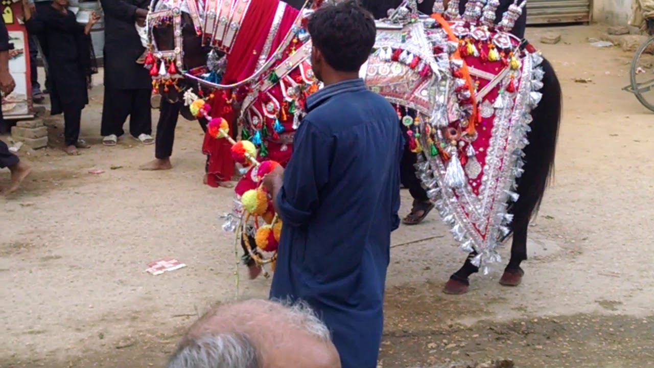 zuljana 5 muhrram pir at hussainabad hyd