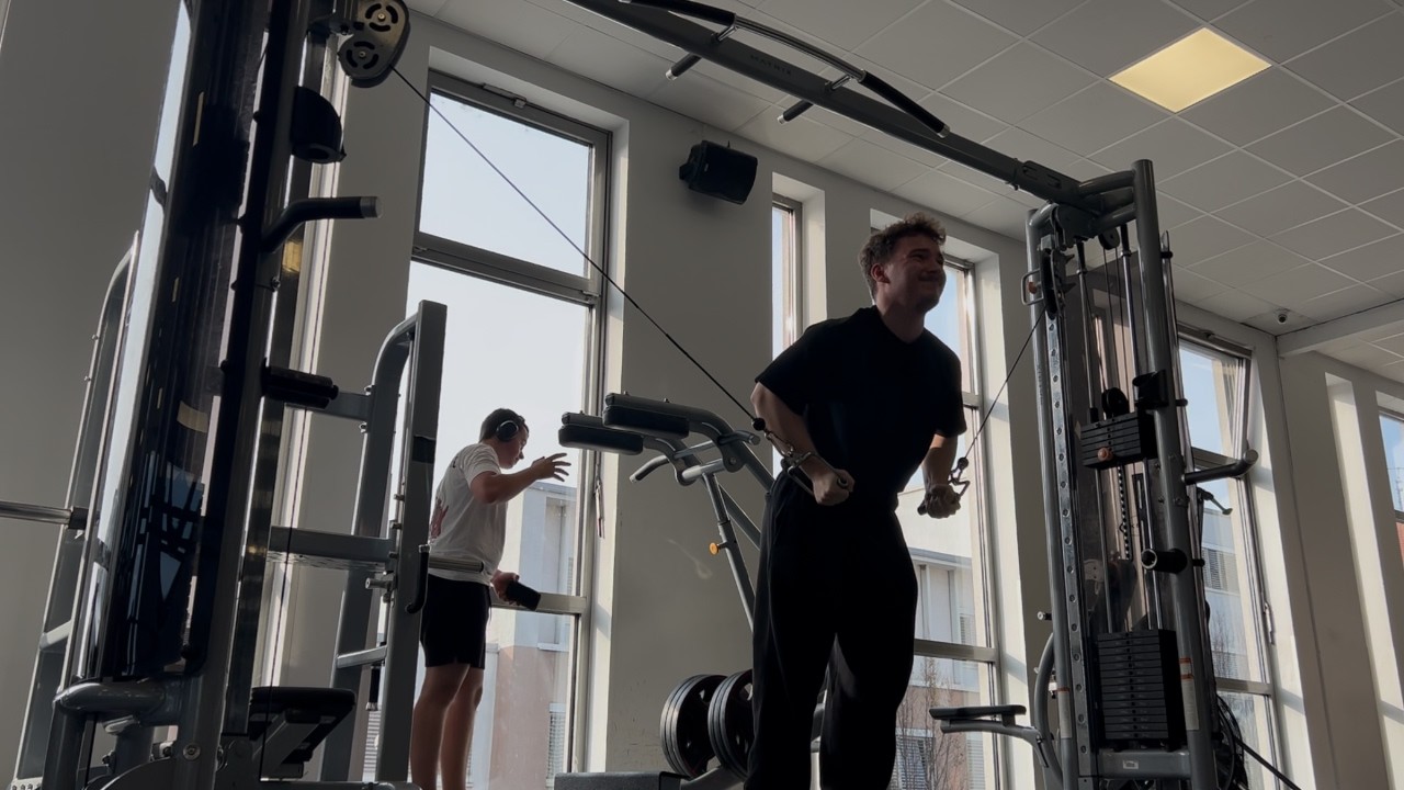 Cut Day 29 - Chest + shoulders