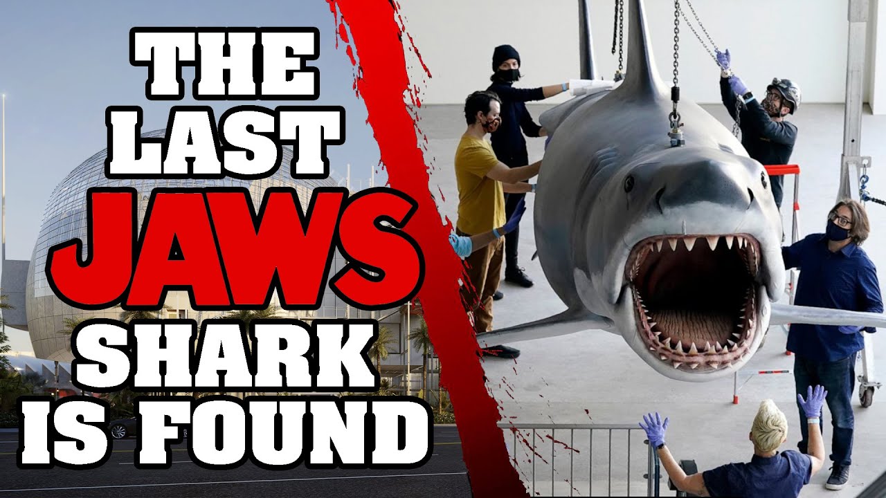 THE LAST JAWS SHARK IS FOUND | Reel News