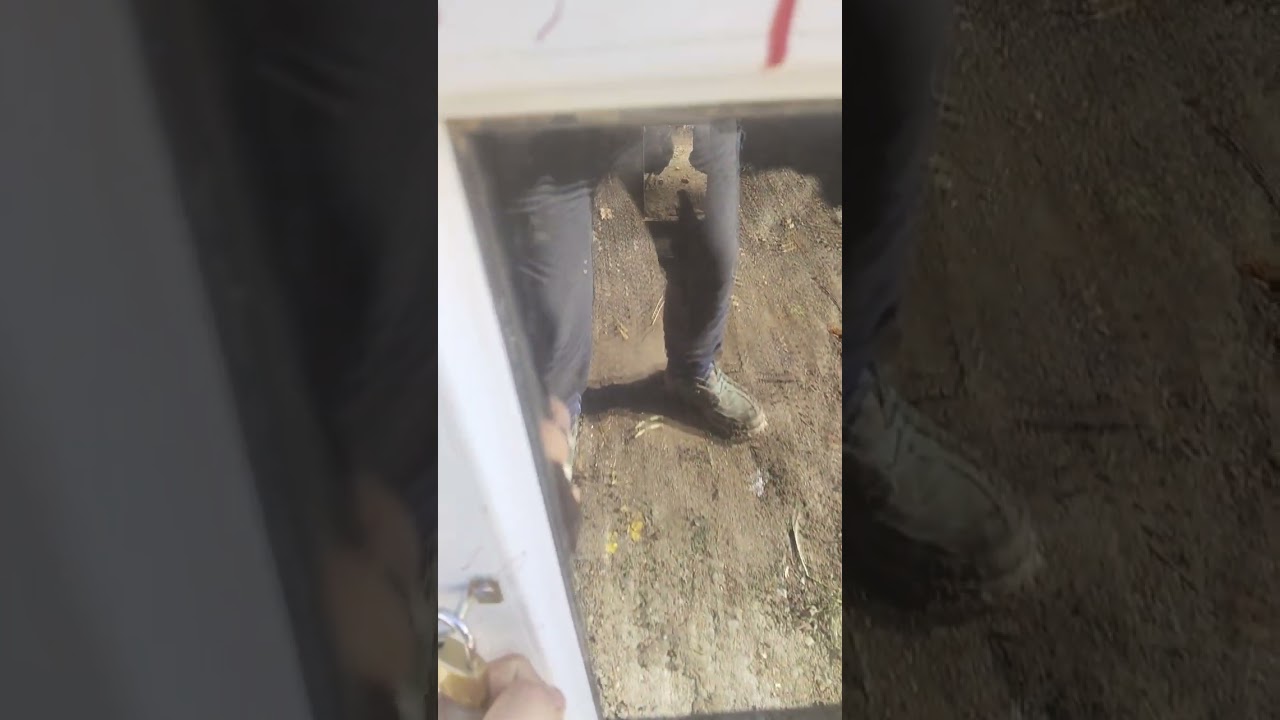Bahçe gezisi ve tavuk bakımı 