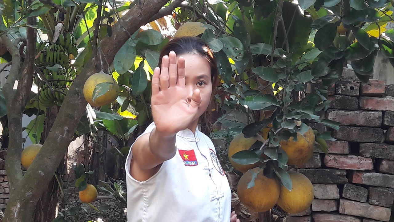 27. DẠY VÕ TẬP TẠI NHÀ |BỘ CHƯỞNG PHÁP