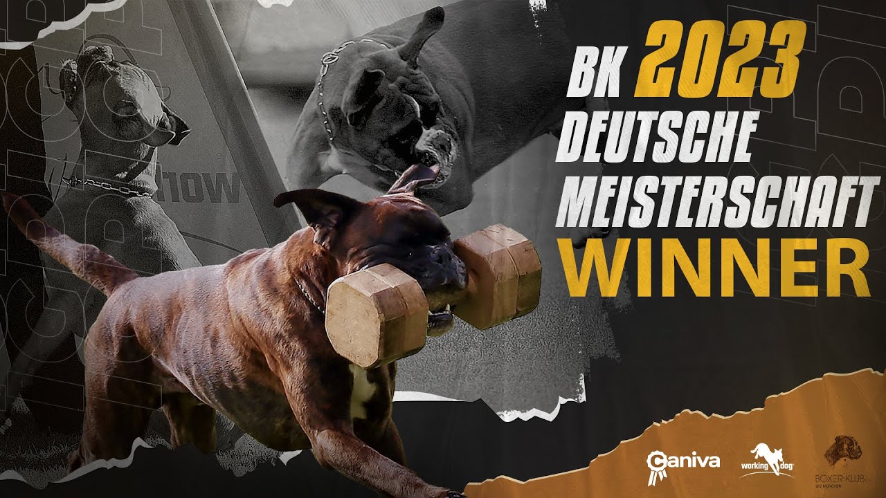 Winner // 85. BK Deutsche Meisterschaft FCI IGP 2023 // working-dog