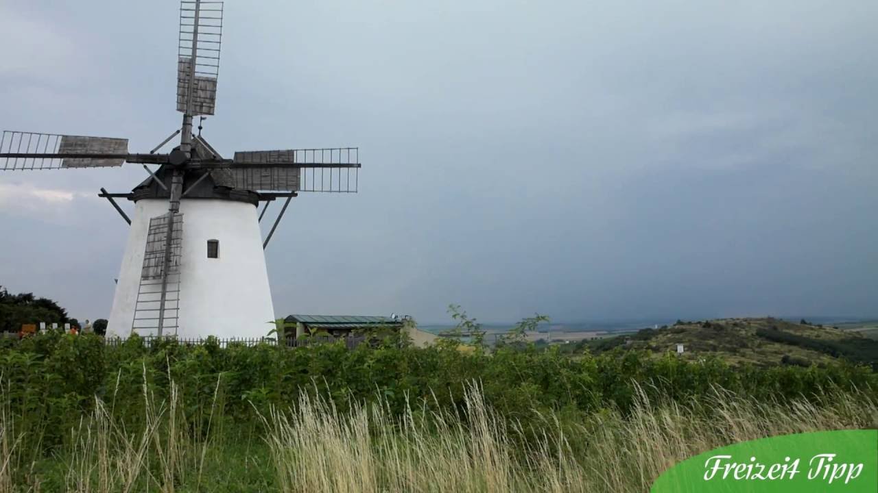 Freizeit Tipp: Retzer Windmühle