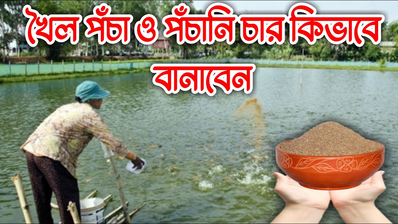 খৈল পঁচা ও পঁচানি চার কিভাবে বানাবেন || Khoil Pocha & Pochani char Making Recipe || Fishing Tips