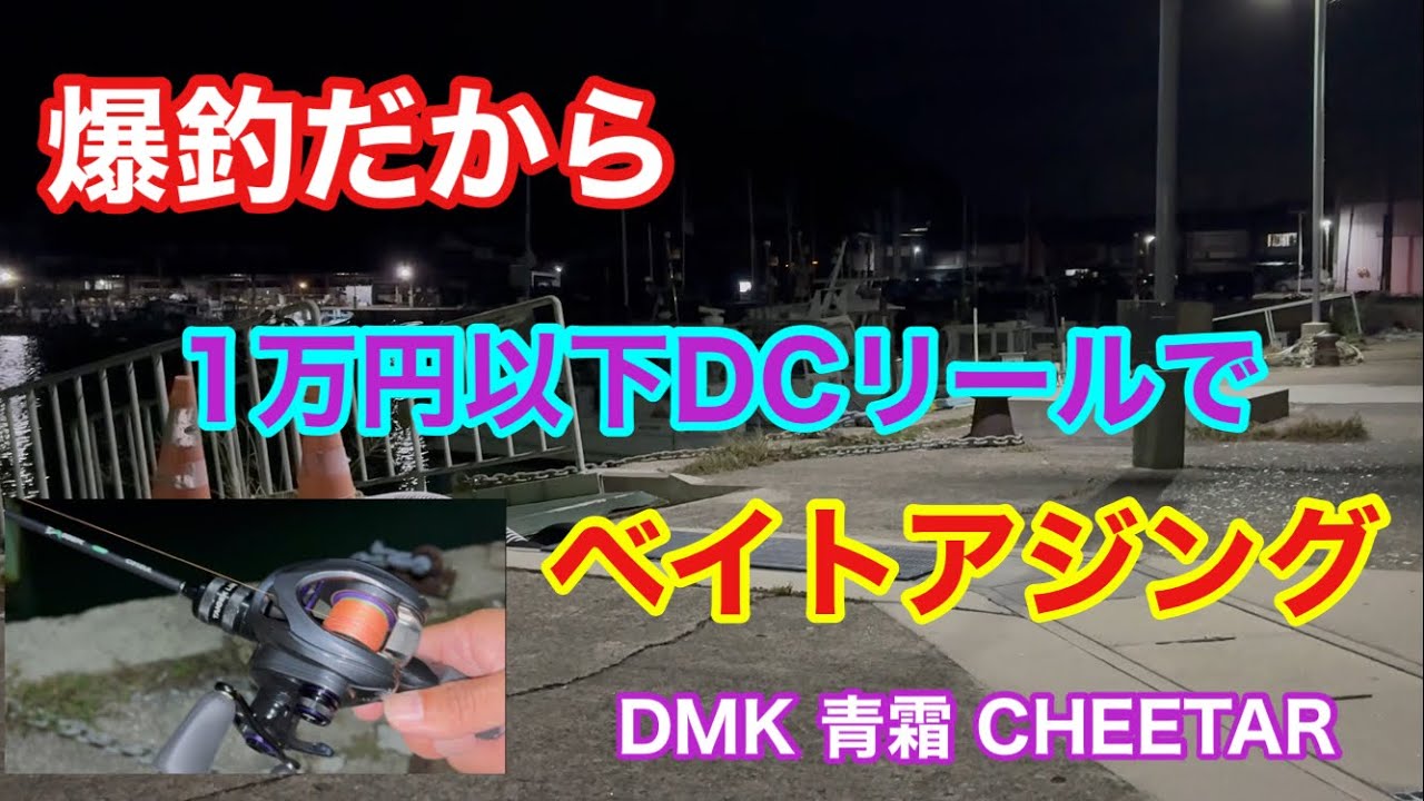 爆釣だから1万以下DCリールでベイトアジング 知多半島