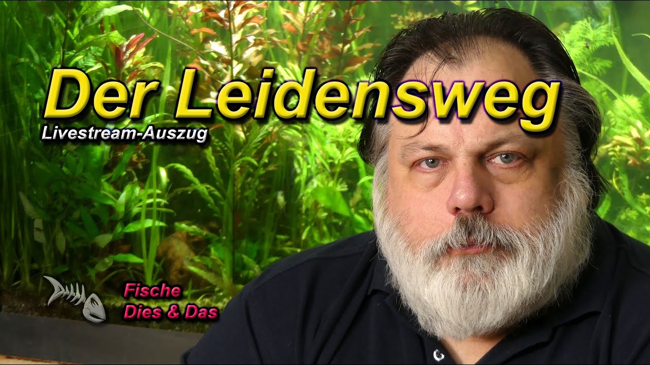 DER LEIDENSWEG DES GEBEUTELTEN AQUARIANERS