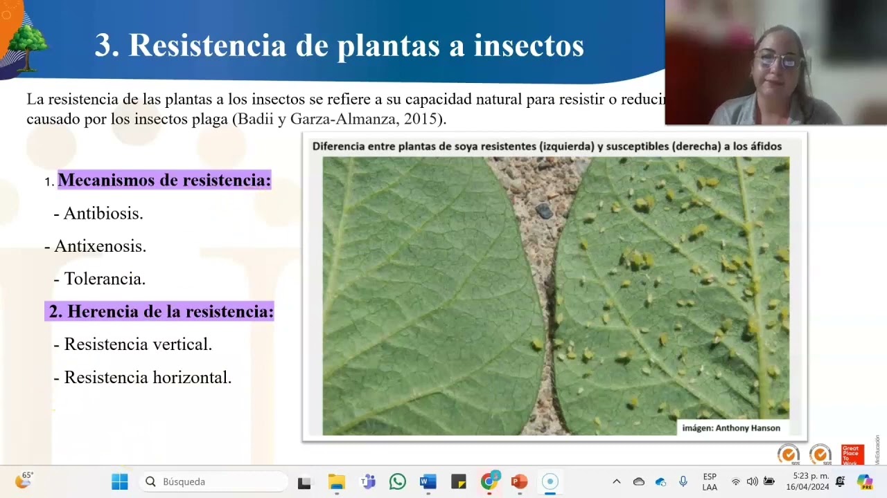 Tarea 3. Componentes del MIP
