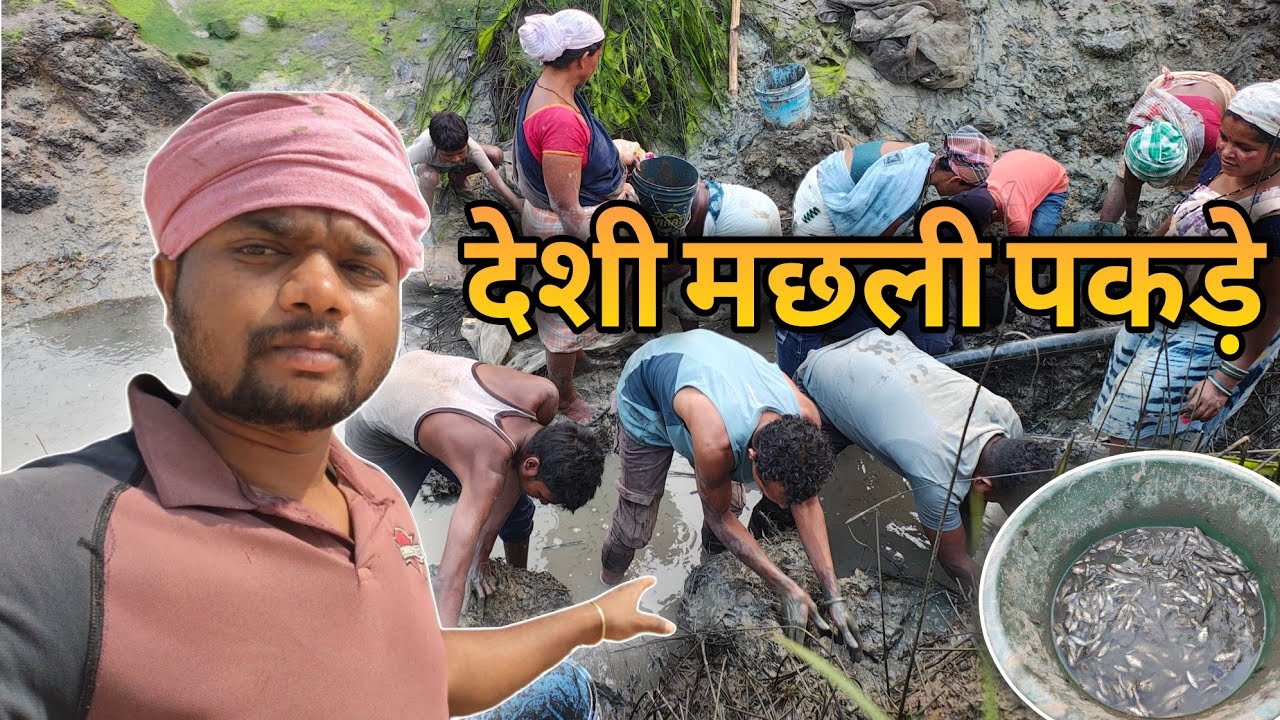 देशी मछली पकड़े ll Amazing Fishing ll Bikki27 