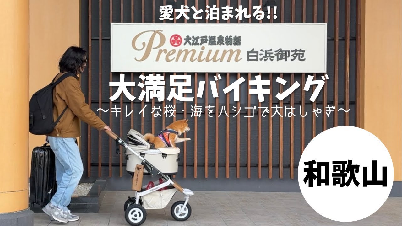 【柴犬】春の和歌山を満喫しました【旅行】