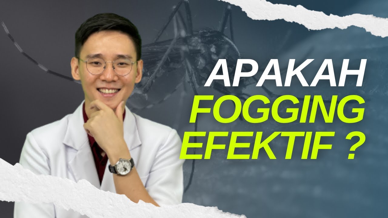 Fogging beneran bisa bunuh Nyamuk ga sih apa cuman akal2an aja?