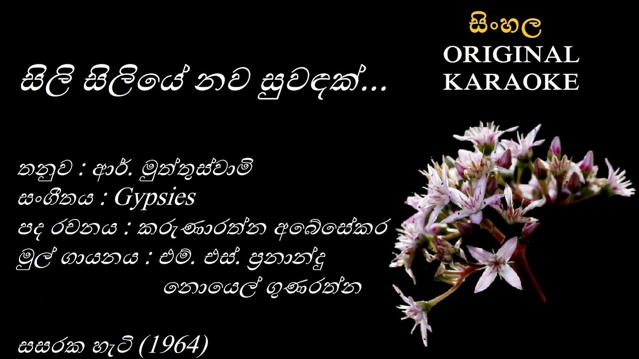 Sili Siliye Nawa Suwandak(NEW) - සිලි සිලියේ නව සුවඳක් - KARAOKE - MS Fernando+Noel Gunarathna/KA/RM