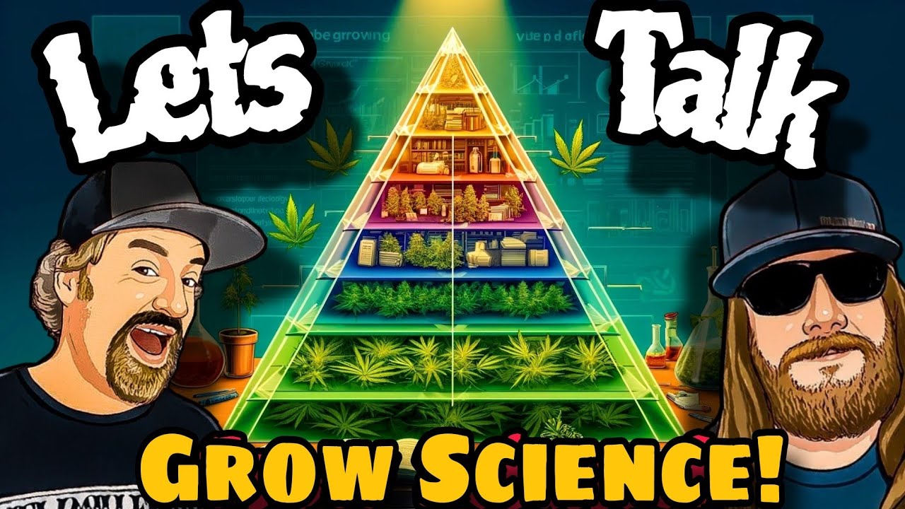 Cannabis Growth Blueprint: The 5 Critical Levels Growers Don't Understand