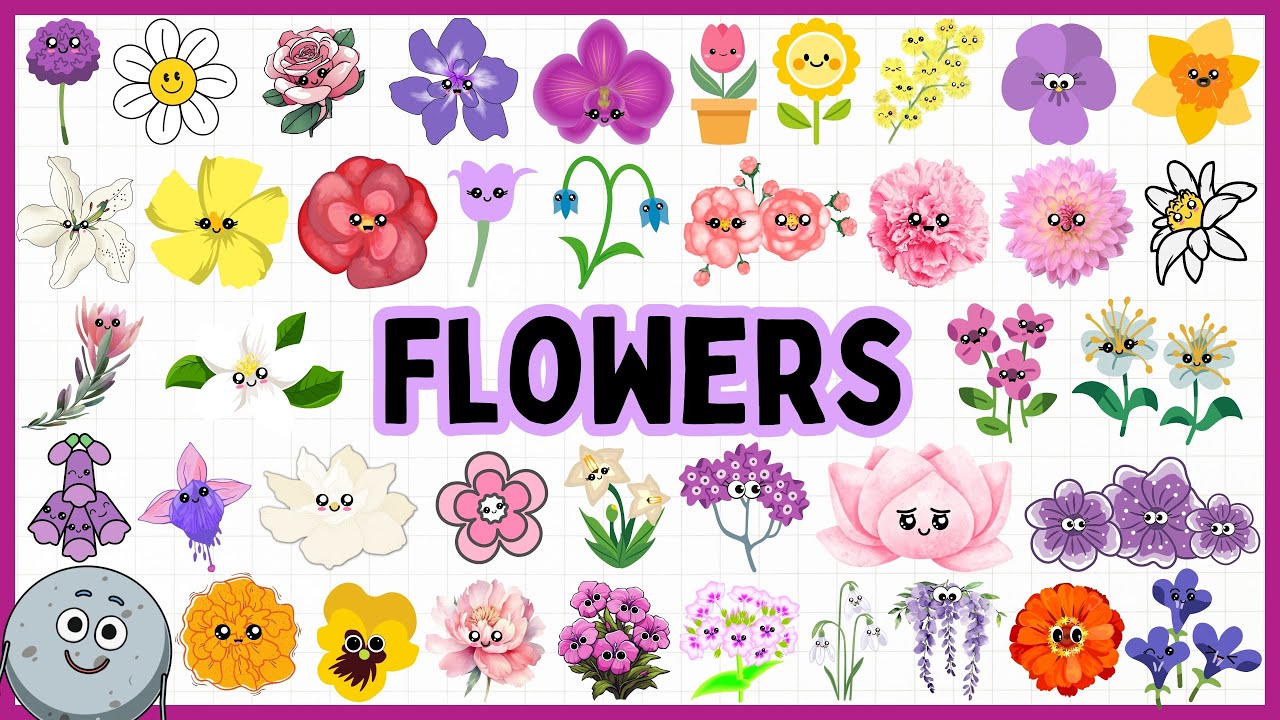 Discover 40 Types of Flowers Name for Kids - Learn Flowers Types for Children