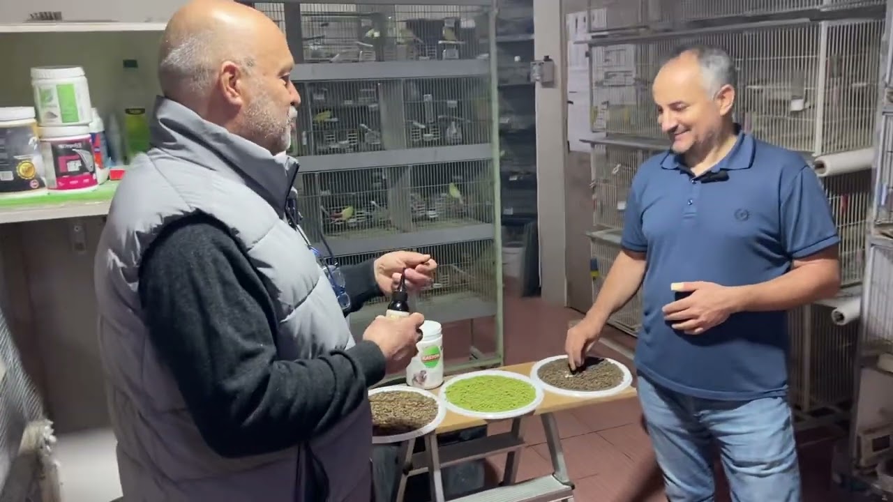 16 Mart 2024 RASYON GÜVERCİN YEMİ HAKKINDA