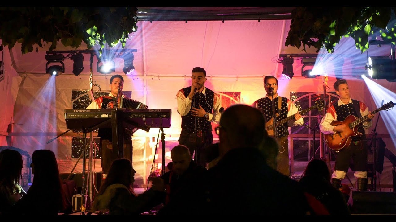 ANSAMBEL VŽIG - LIVE VESELICA 2018