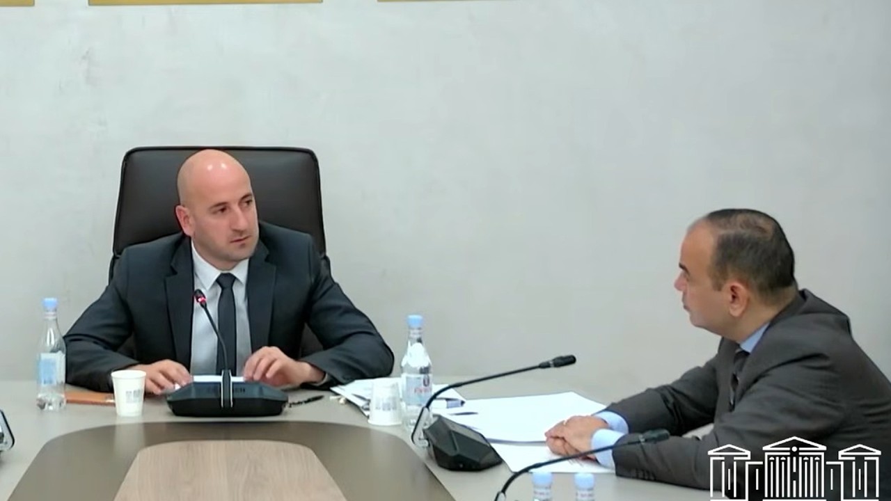 Սփյուռքի երիտասարդները կարծում էին, թե «Իրական Հայաստան» նշանակում է՝Թուրքիայի «տակ» գտնվող Հայաստան