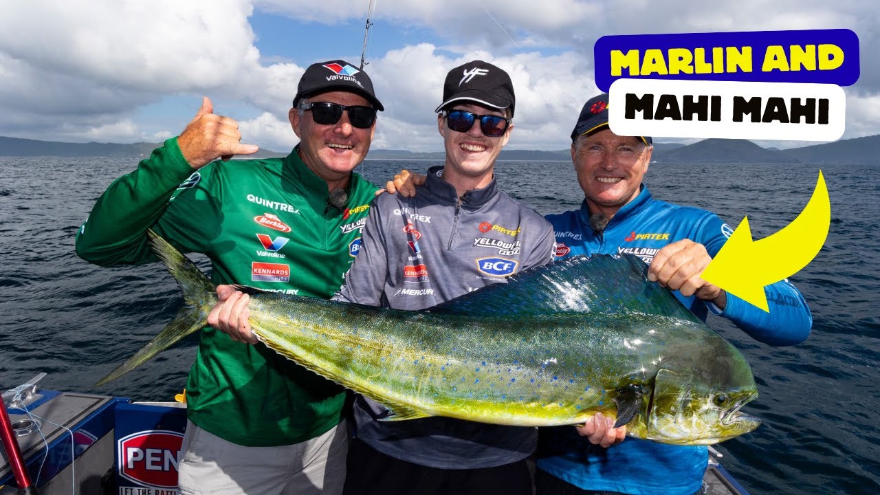 How To Catch Inshore Mahi Mahi and Marlin (Port Stephens)