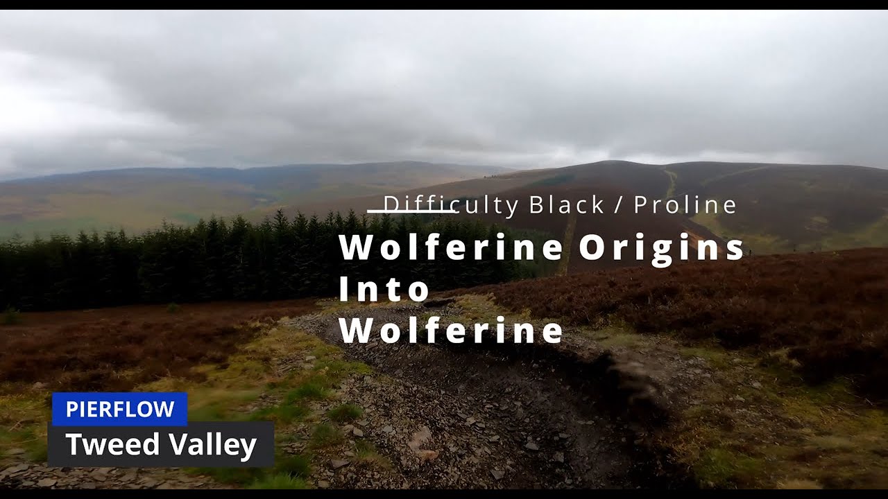 NEARLY CIRCUMSIZED MYSELF ON THIS TRAIL | Wolferine Origins into Wolverine