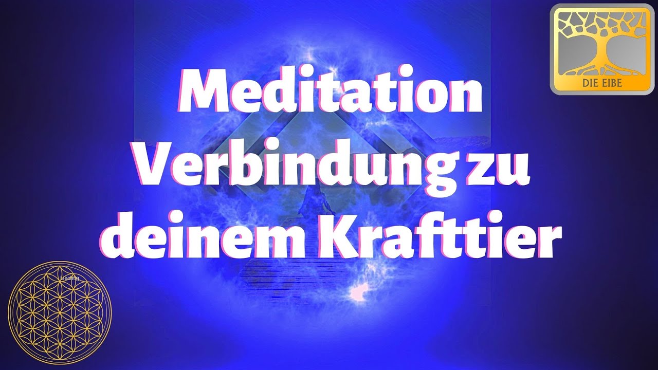 Meditation Verbindung mit deinem Krafttier / frei von Ängsten Sorgen 852 Hz Solfeggio Frequenzen