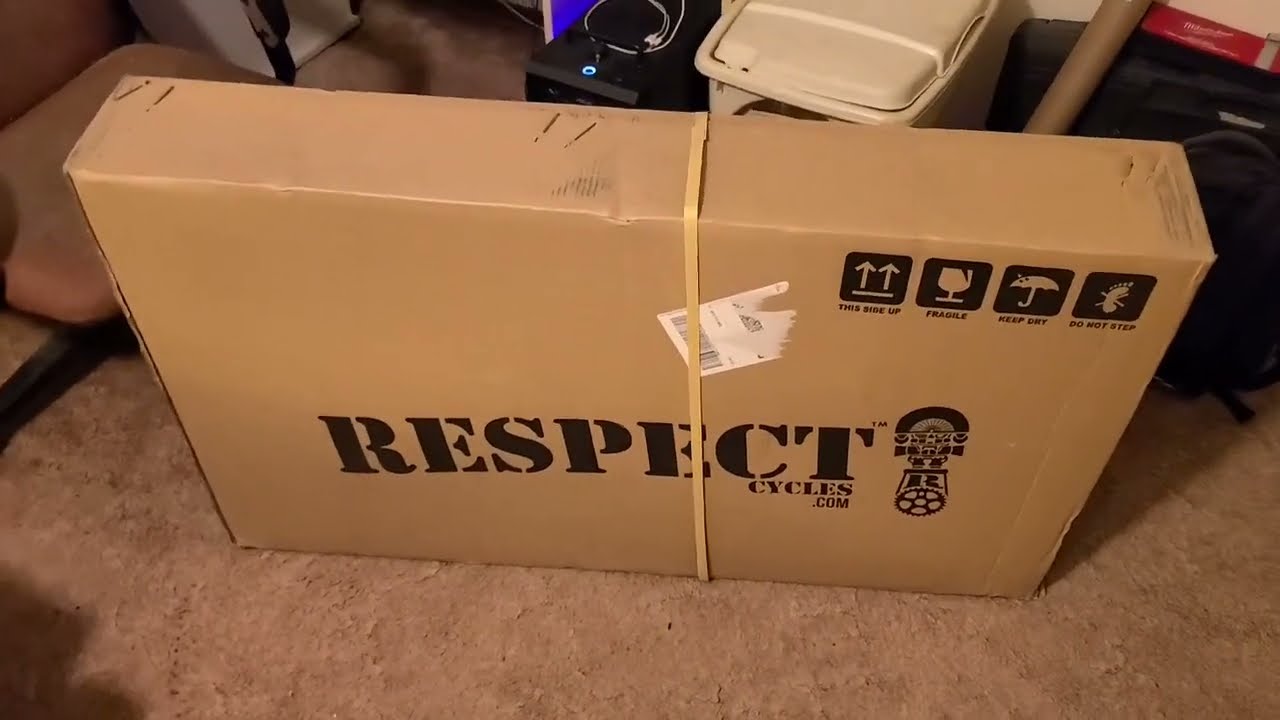 Новая игрушка. Мне подарили Respect! Mini Velo.
