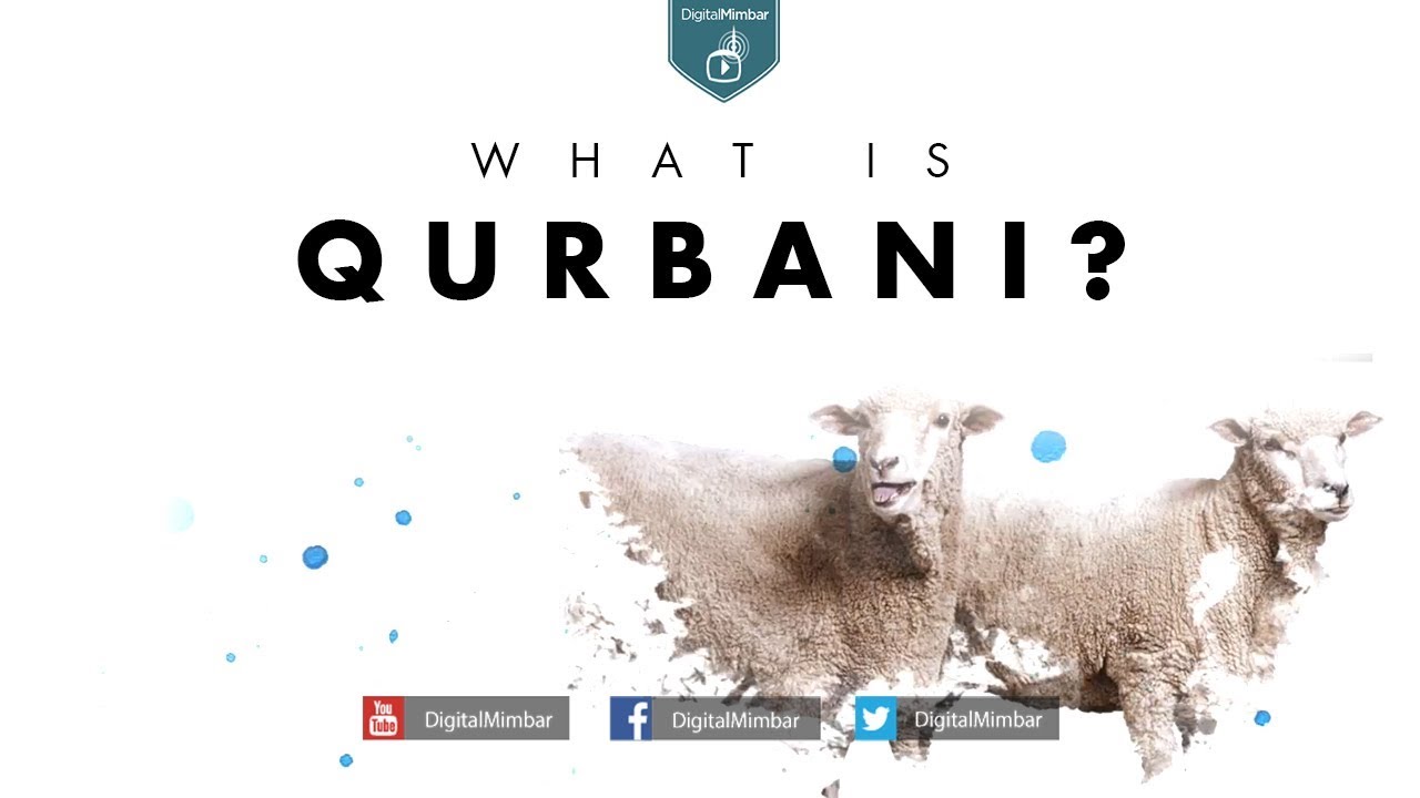 What is Qurbani?