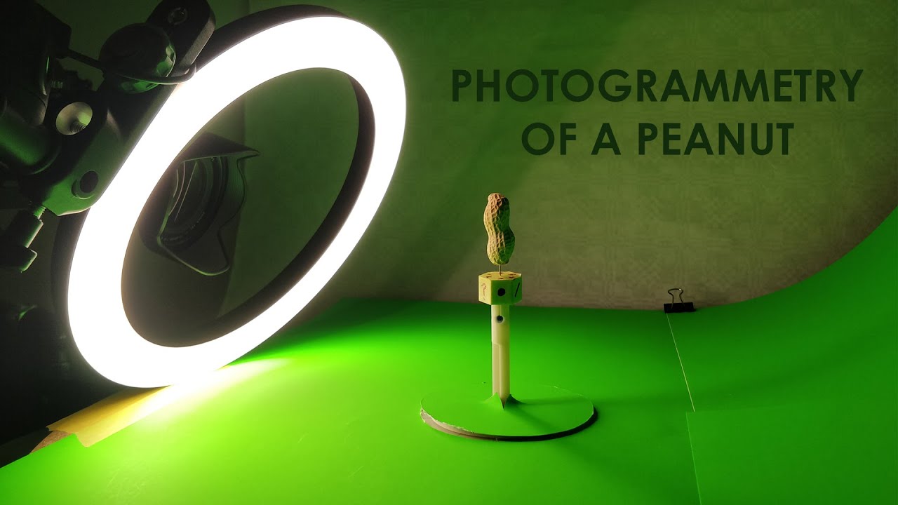 3D-сканирование арахиса — рабочий процесс фотограмметрии Agisoft Metashape Standard
