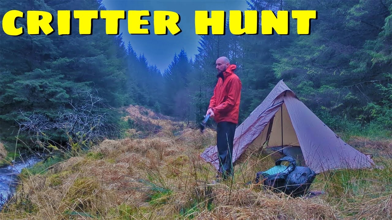 Stalking Elusive Welsh Deer - Solo Wild Camping