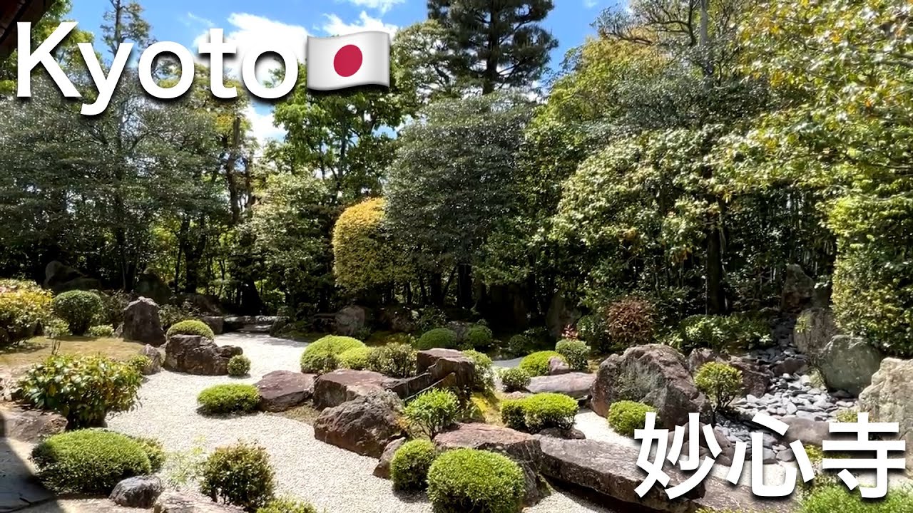 Discovering Serenity at Myoshinji Temple in Kyoto -4K Japan travel video-