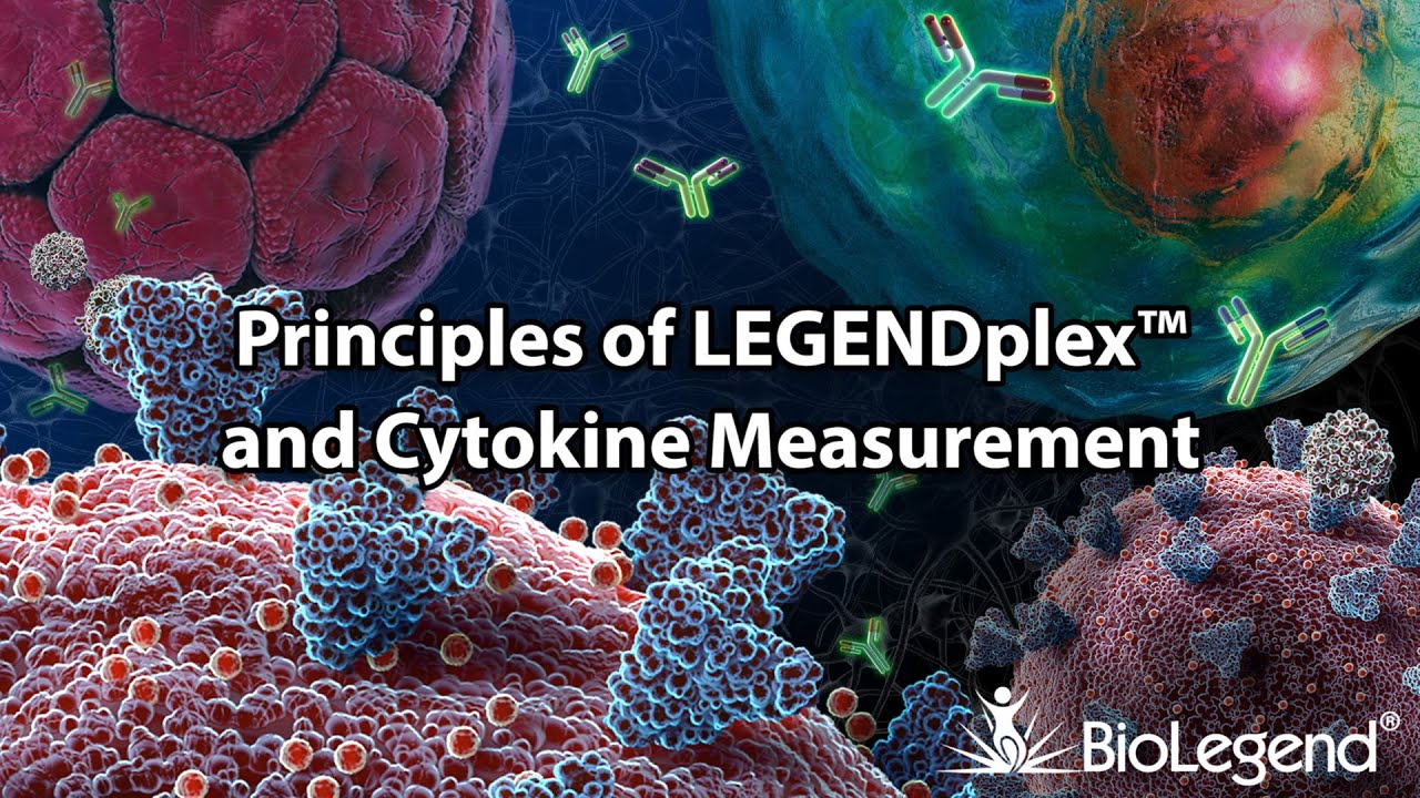 Principles of LEGENDplex™ and Cytokine Measurement