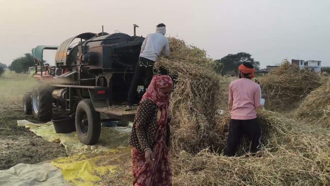 जाला भूत की मशीन चना बटना (मटर) की सेटिंग और परफॉर्मेंस की जानकारी ।