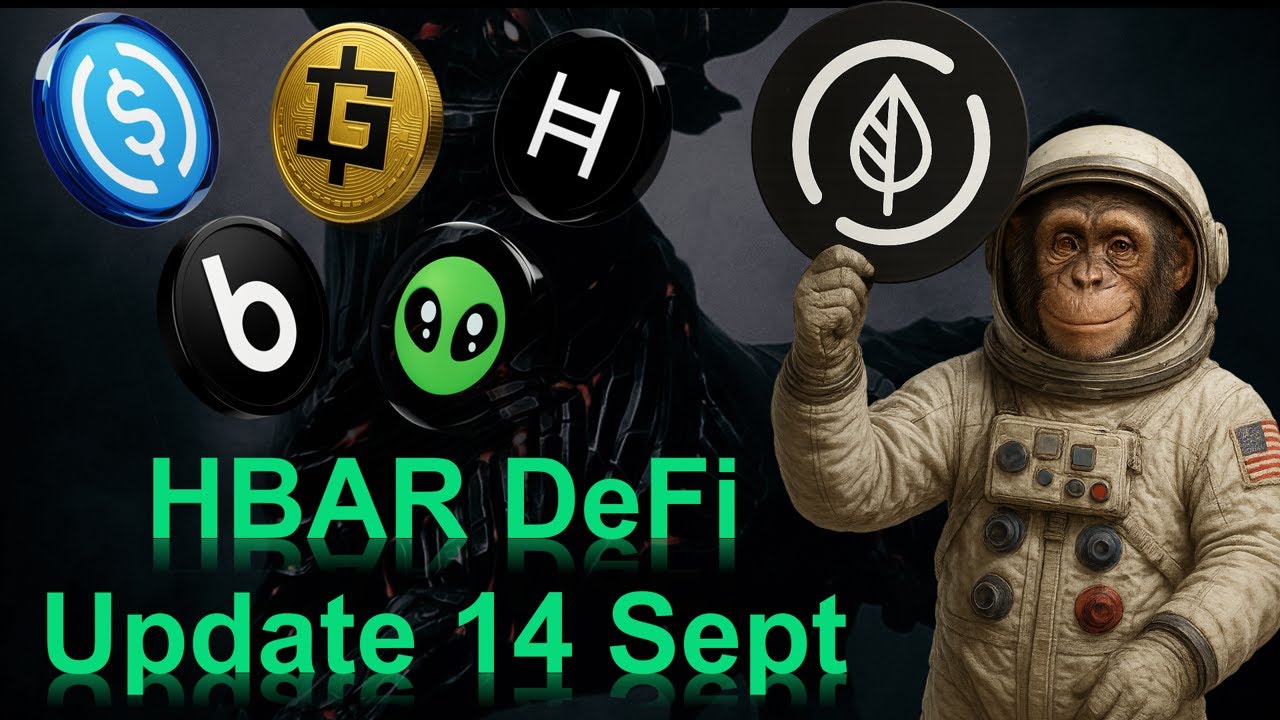 HBAR DeFi Corner - Opportunities and Risks