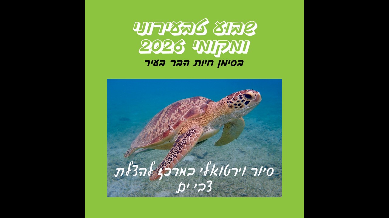 סיור וירטואלי במרכז להצלת צבי ים