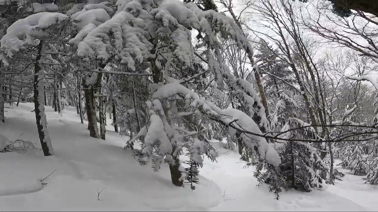 SKIED KILLINGTON’S MOST DANGEROUS TRAILS! (Double Blacks & Tight Trees) ◆◆