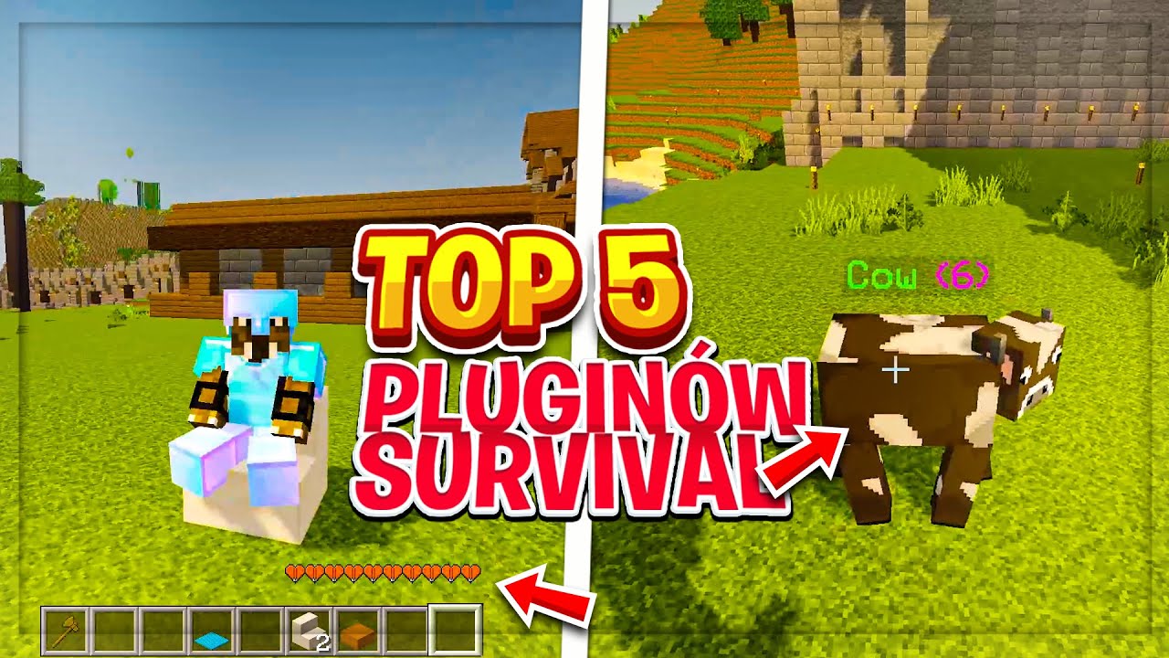 TOP 5 pluginów na serwer survival